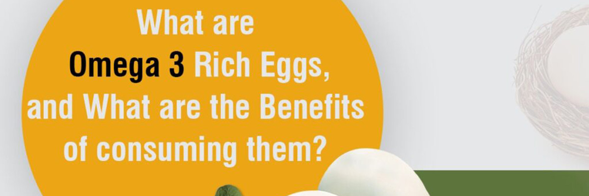 Multi-enriched eggs with omega 3 fatty acids, vitamin E and Selenium